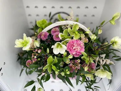 Kwiatomat 24/7 Nokia/Ogińskiego | Elflora